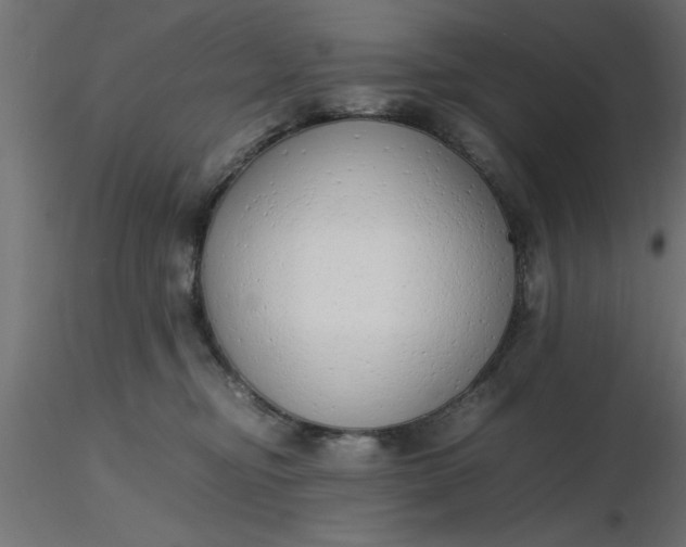 X0000116660374200912291642