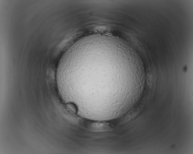 X0000116660375200912291642