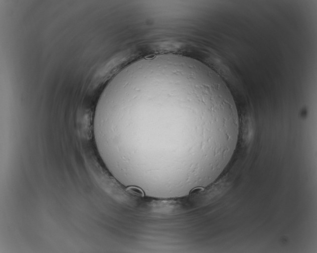 X0000116660378200912291642