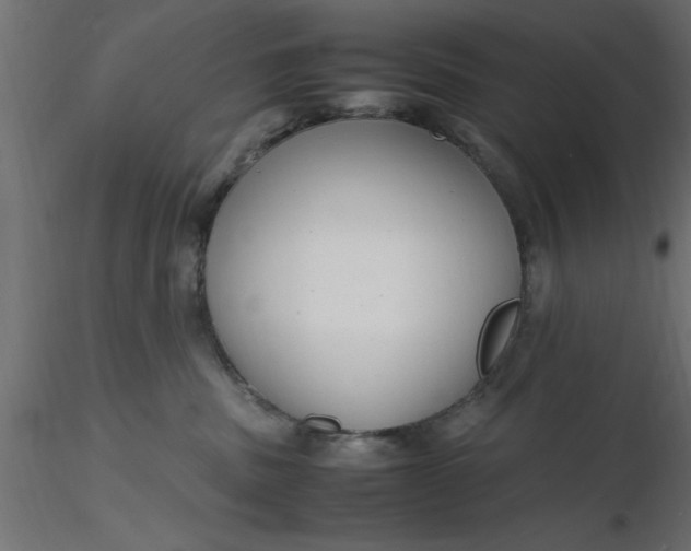 X0000116660379200912291642