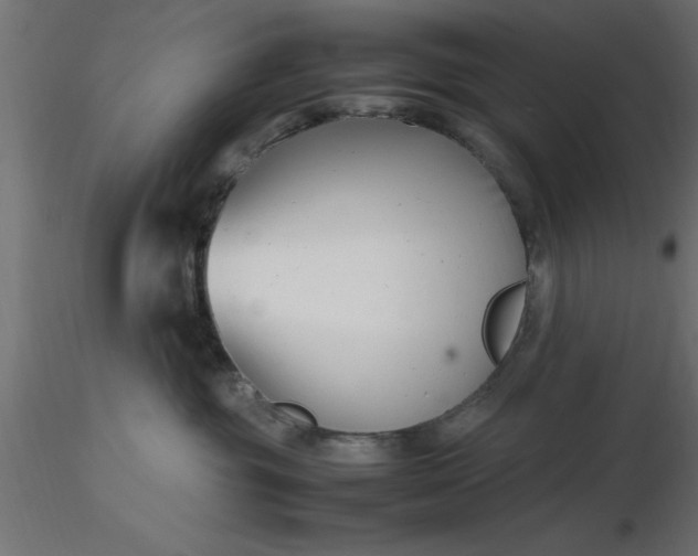 X0000116660381200912291642