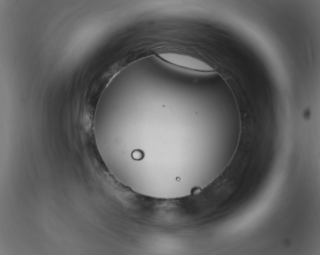 X0000116660382200912291642