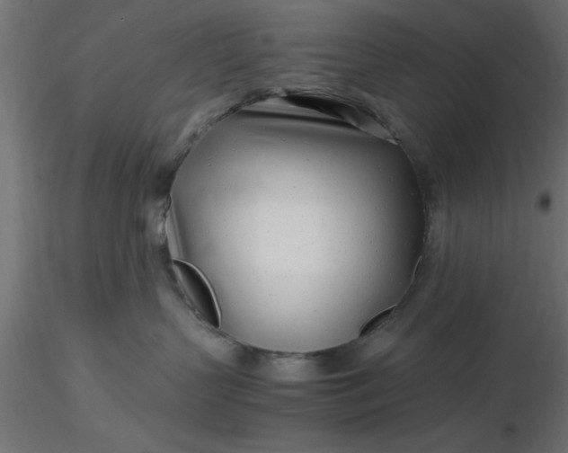 X0000116660383200912291642