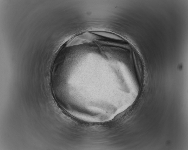 X0000116660385200912291642