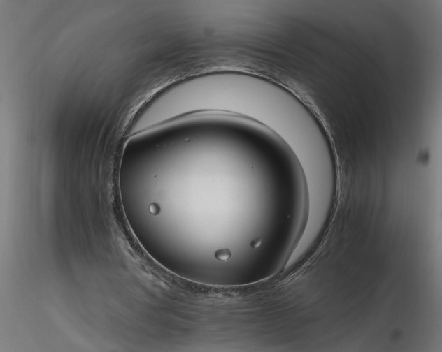 X0000116660386200912291642