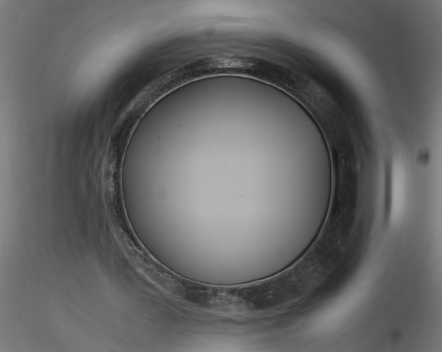 X0000116660387200912291642