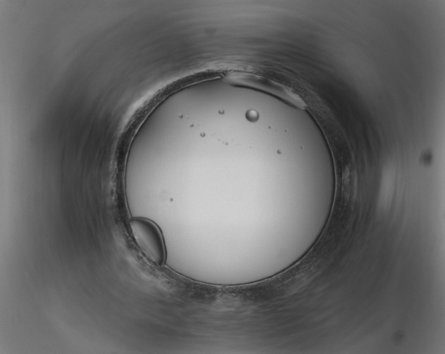 X0000116660388200912291642