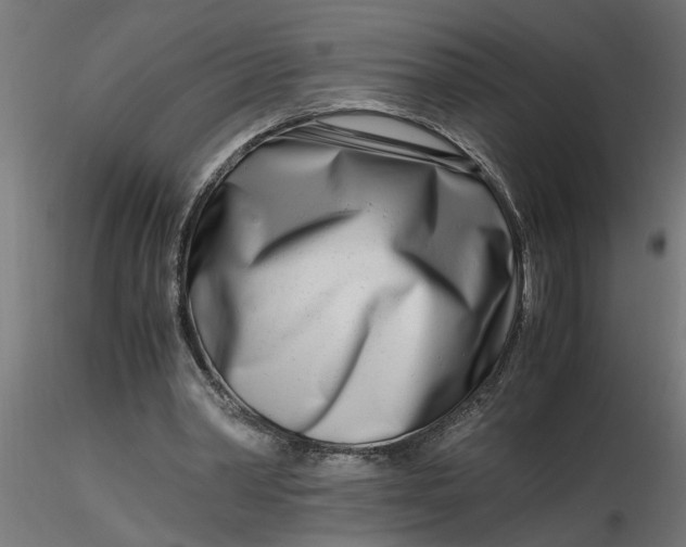 X0000116660390200912291642