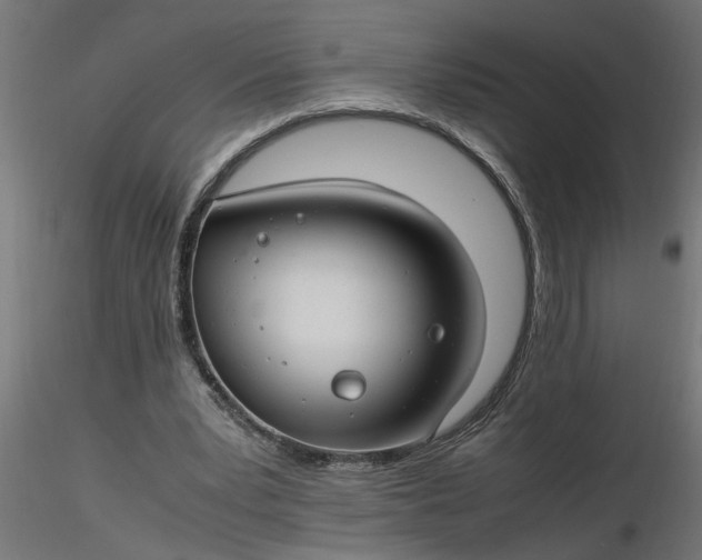 X0000116660391200912291642