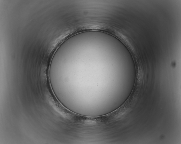 X0000116660394200912291642