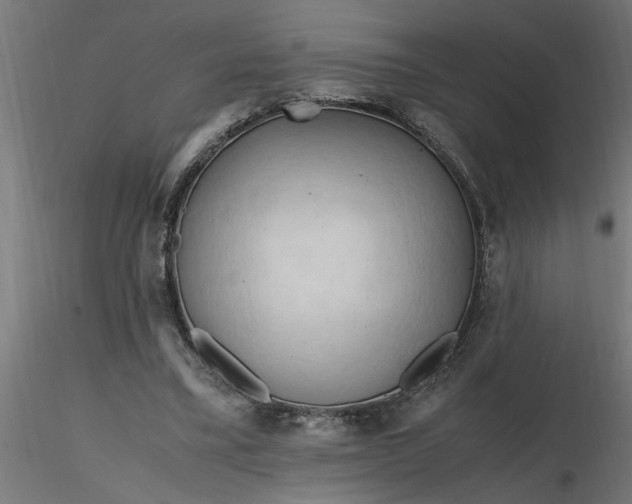 X0000116660395200912291642