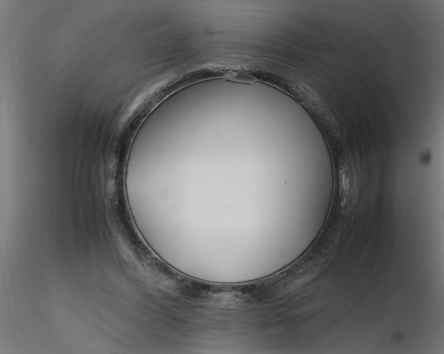 X0000116660396200912291642