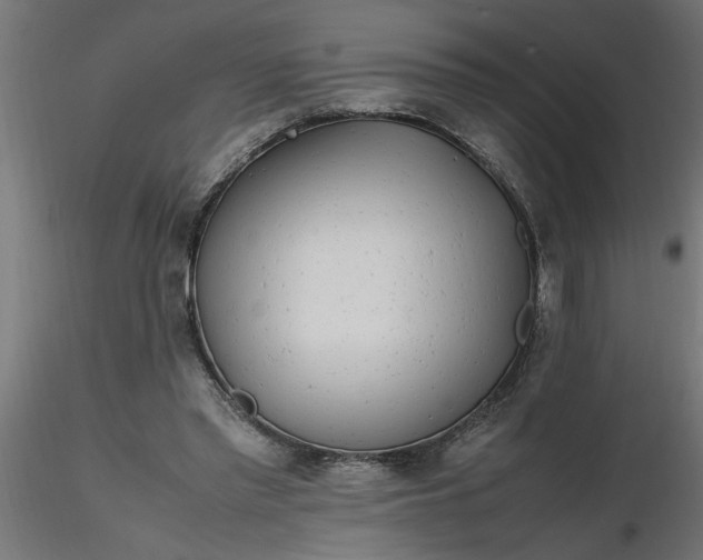 X0000116660397200912291642