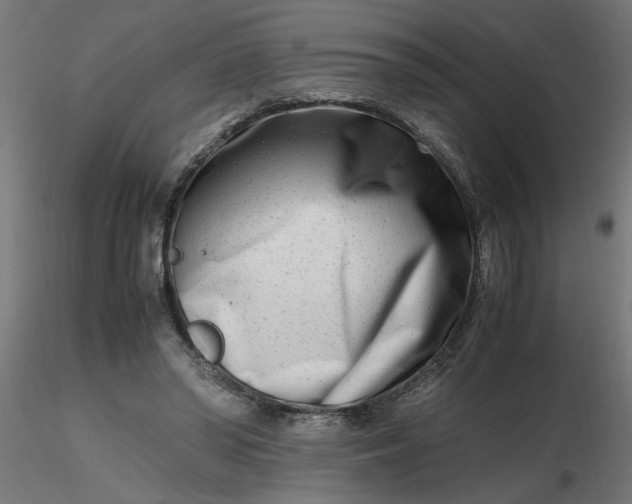 X0000116660398200912291642