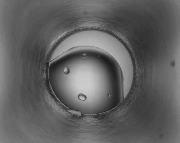 X0000116660399200912291642