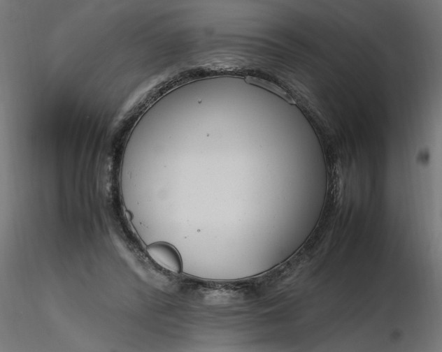 X0000116660400200912291642