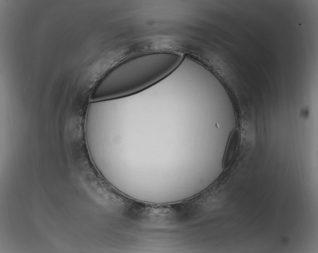 X0000116660401200912291642