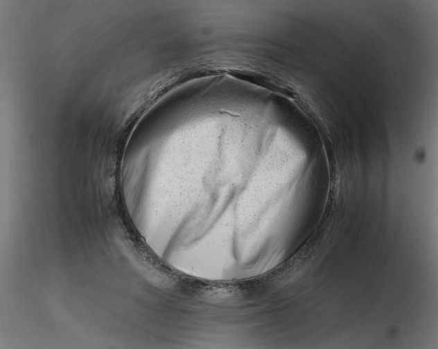 X0000116660402200912291642