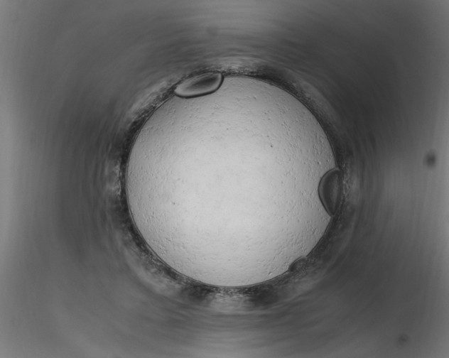 X0000116660403200912291641