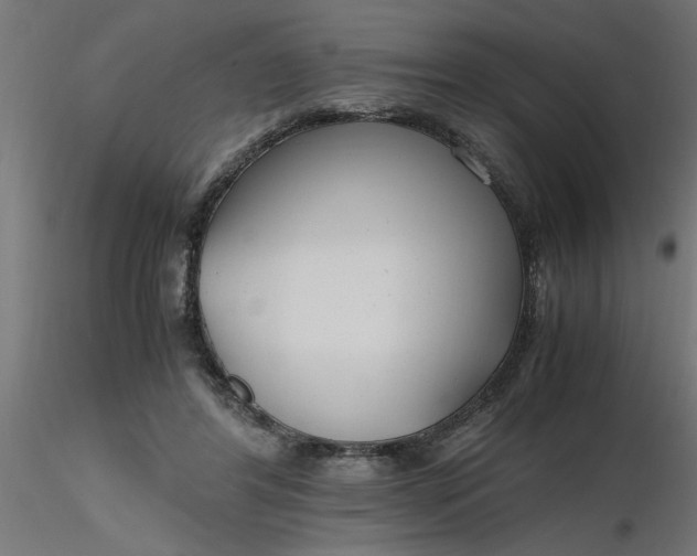 X0000116660404200912291641