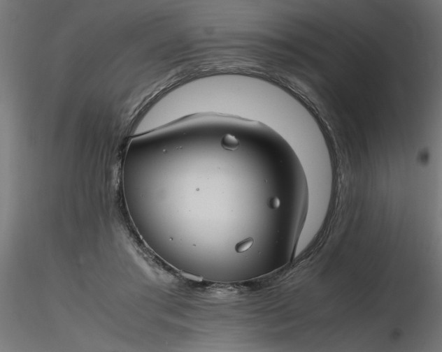 X0000116660405200912291641