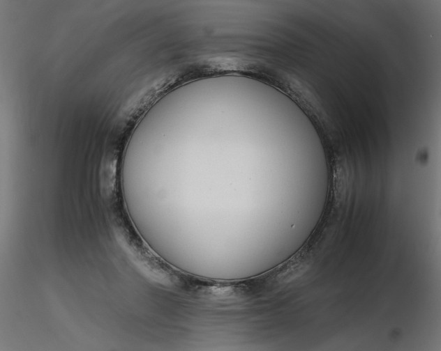 X0000116660406200912291641