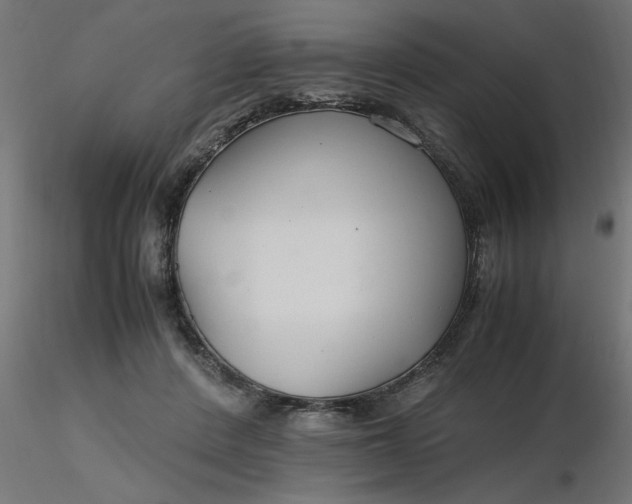 X0000116660408200912291641