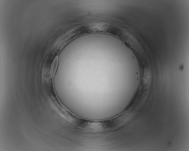 X0000116660409200912291641