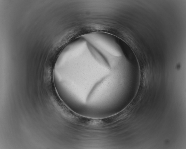 X0000116660410200912291641