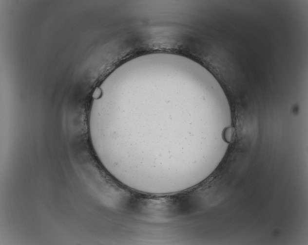 X0000116660411200912291641