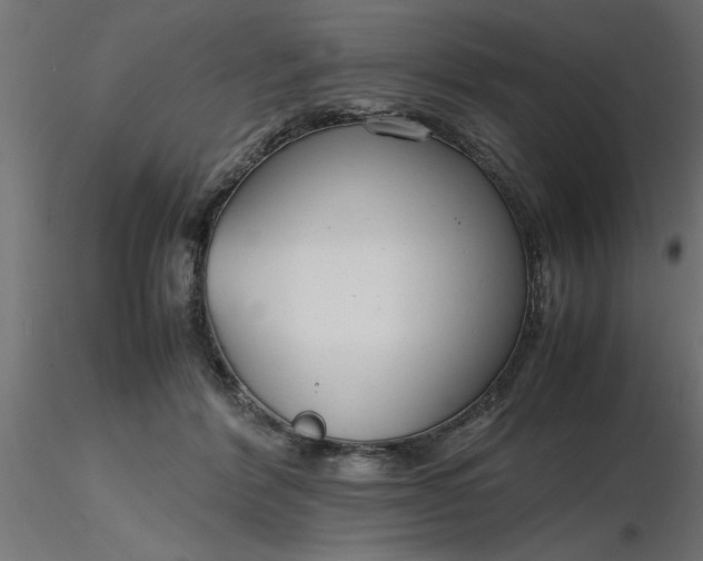 X0000116660412200912291641