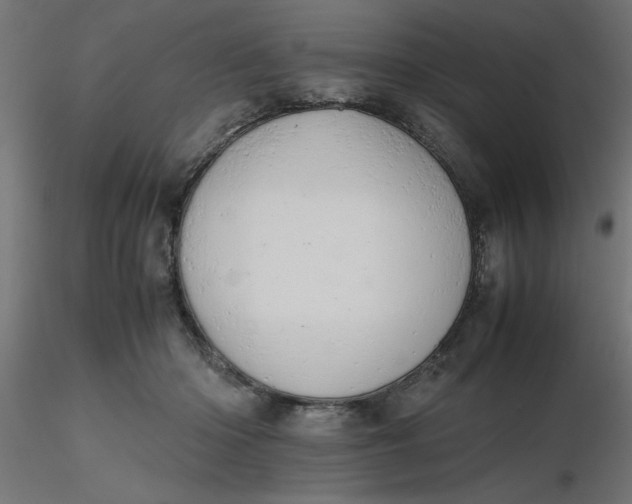 X0000116660414200912291641