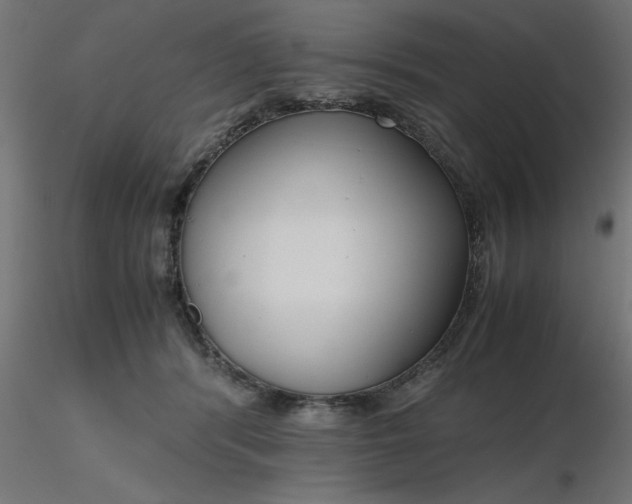 X0000116660416200912291641