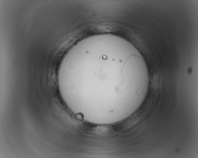 X0000116660418200912291641