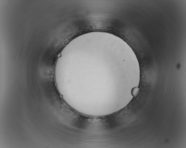 X0000116660419200912291641