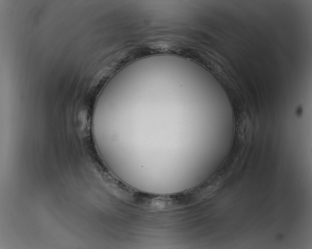 X0000116660420200912291641