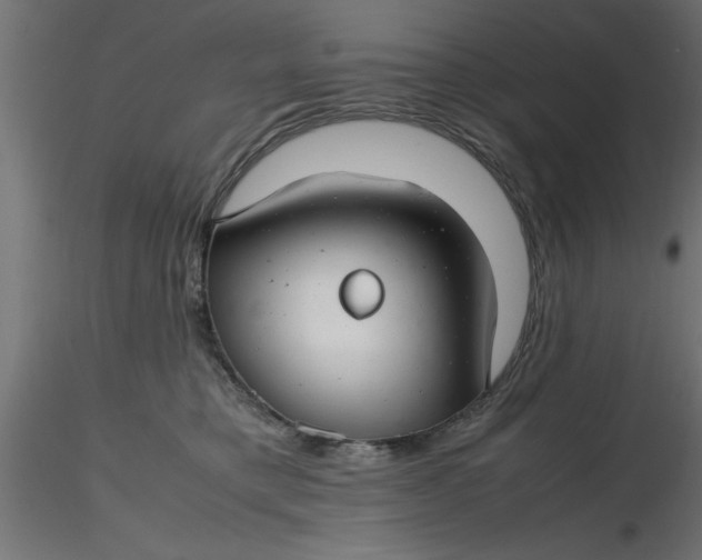 X0000116660421200912291641