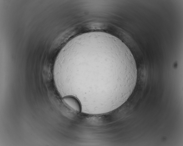 X0000116660422200912291641