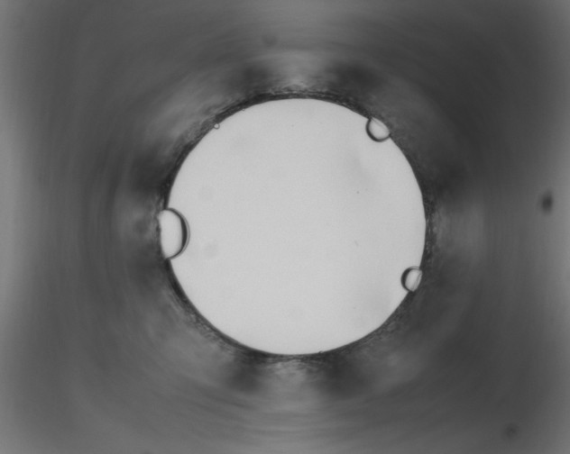 X0000116660423200912291641