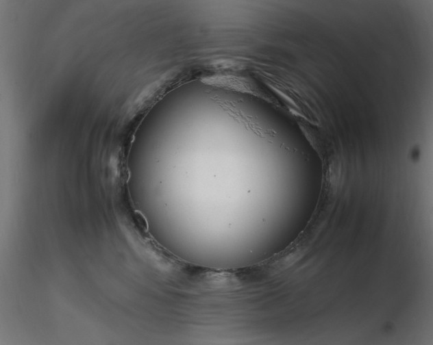 X0000116660424200912291641