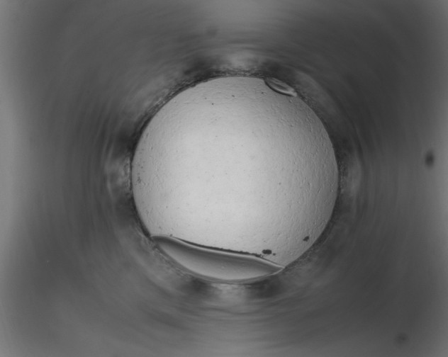 X0000116660425200912291641