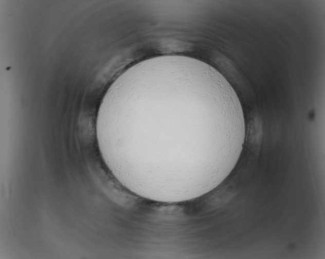 X0000116660426200912291641