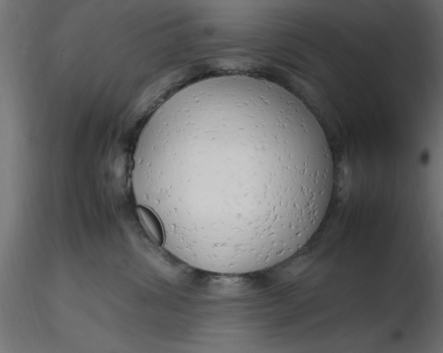 X0000116660428200912291641