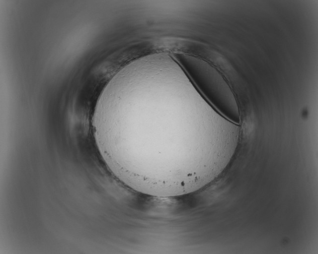 X0000116660429200912291641