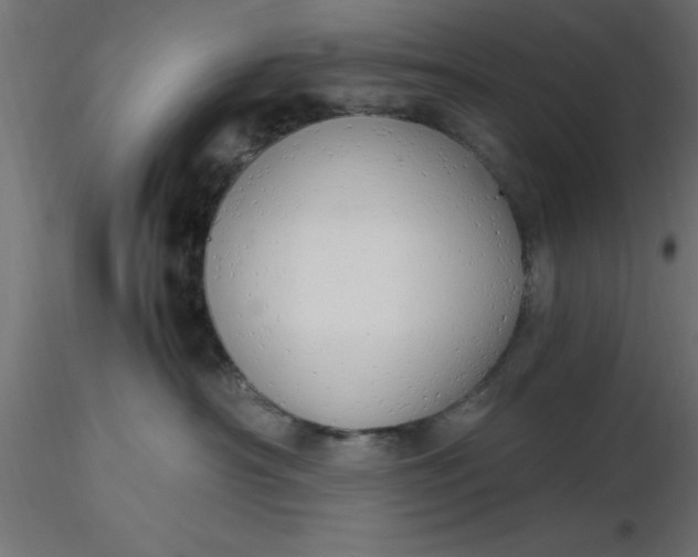 X0000116660430200912291641