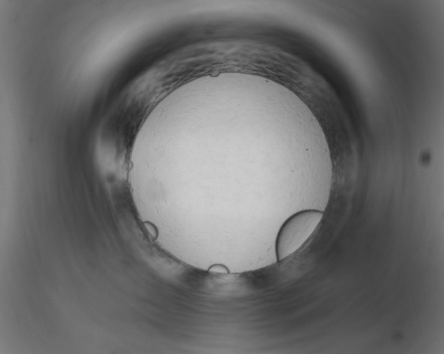 X0000116660431200912291641