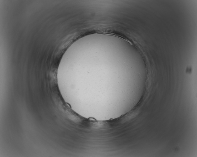 X0000116660432200912291641