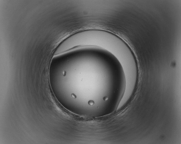 X0000116660433200912291640