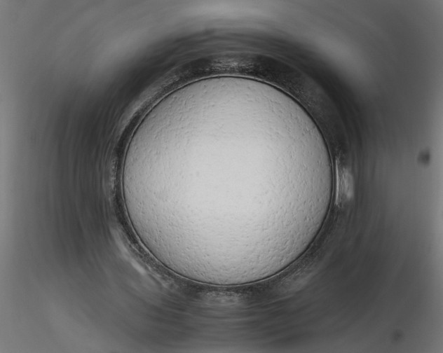 X0000116660435200912291640