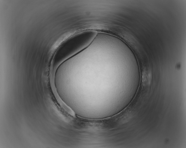 X0000116660436200912291640